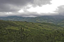 immagine 07 di 24